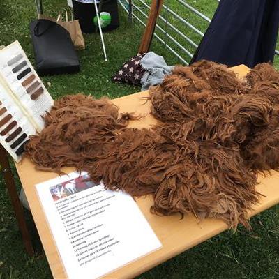 brown fleece